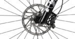Radon SWOOP AL 9.0 – Bild 9