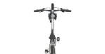 Radon SWOOP AL 9.0 – Bild 10
