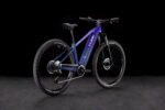 Cube Reaction Hybrid ONE 800 orchid´n´mint – Bild 2