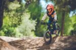Mondraker GROMMY 16 – Bild 9